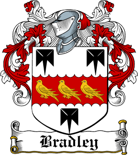 The Great Irish surname of Bradley.